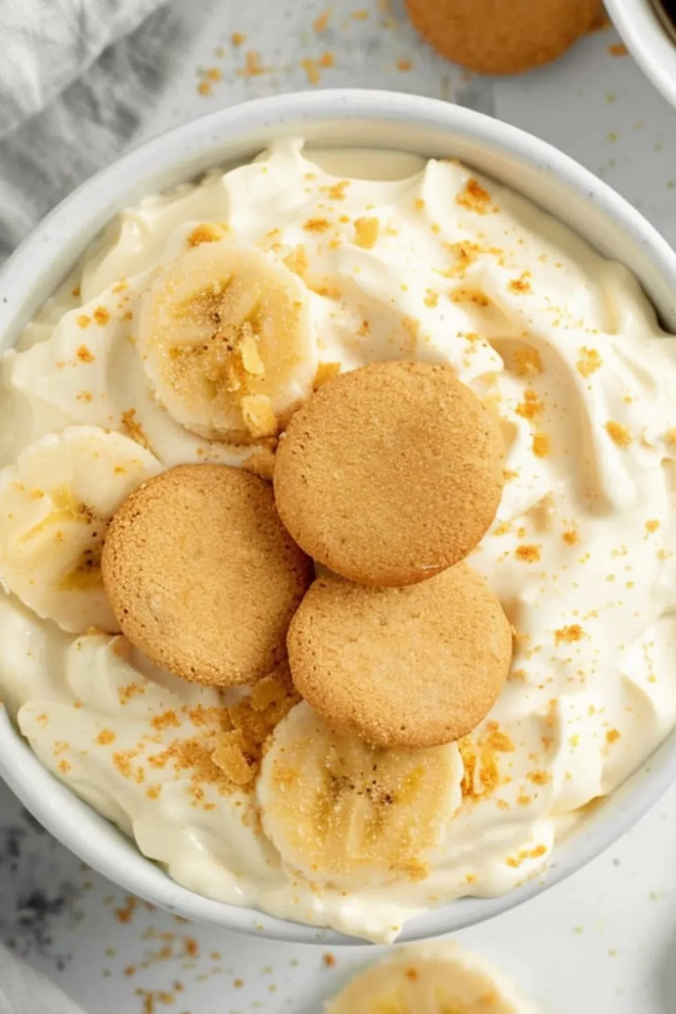 Banana Pudding Dip Photo