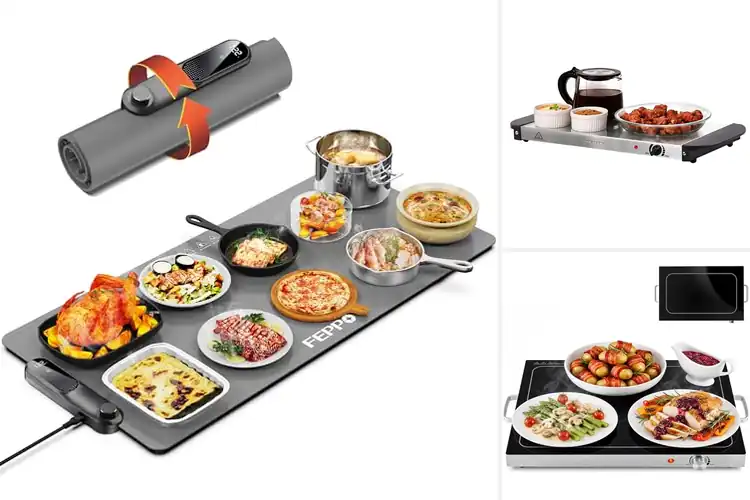Detailed view of Best Adjustable Temperature Food Warmers