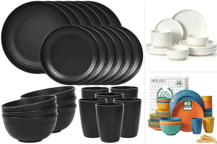 Detailed view of Best Dishwasher Safe Dishes