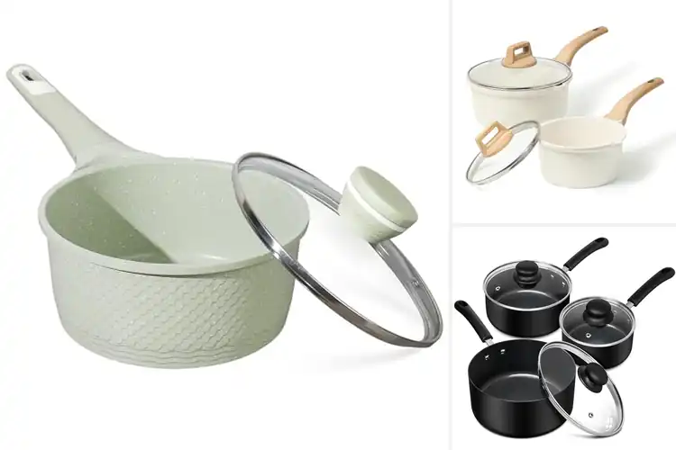 Detailed view of Best Easy Clean Nonstick Sauce Pots