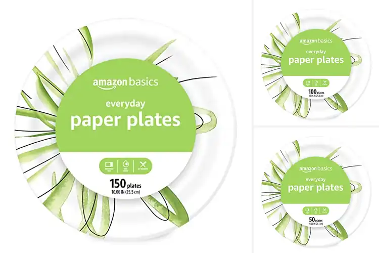 Detailed view of Best Fits 10 Inch Plates: Top 10 Durable & Stylish Picks