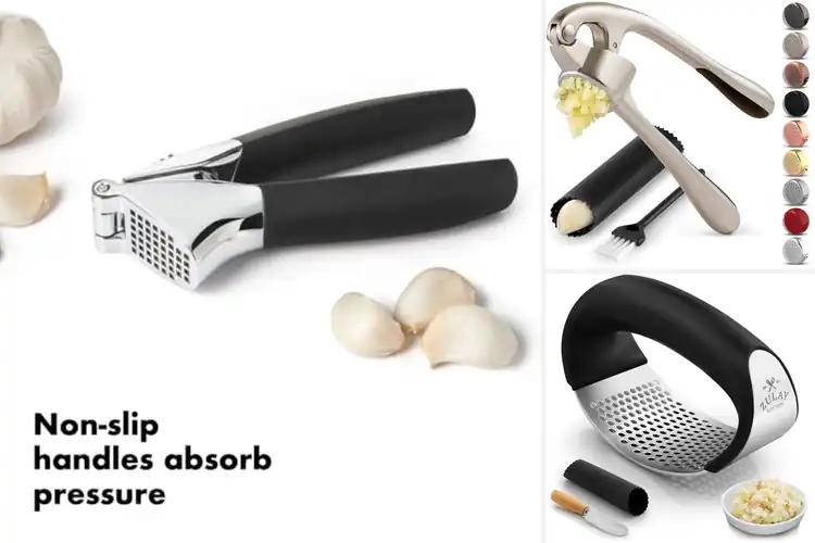 Detailed view of 10 Best Garlic Crushers for Effortless Flavor Boost