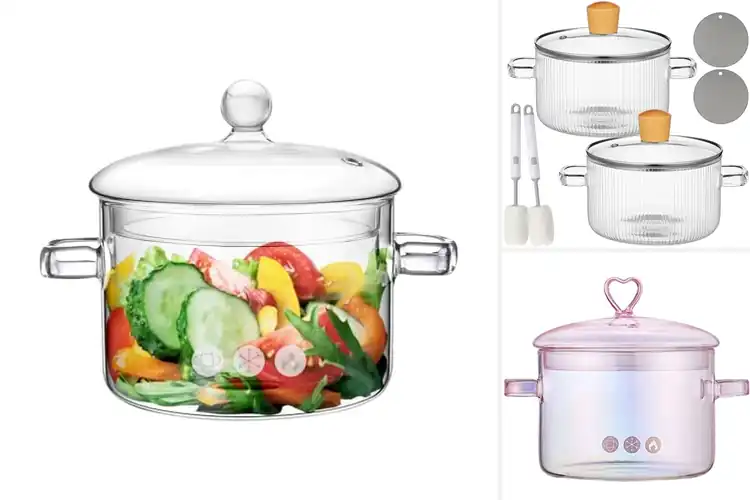 Detailed view of Best Glass Lid Saucepan With See Through