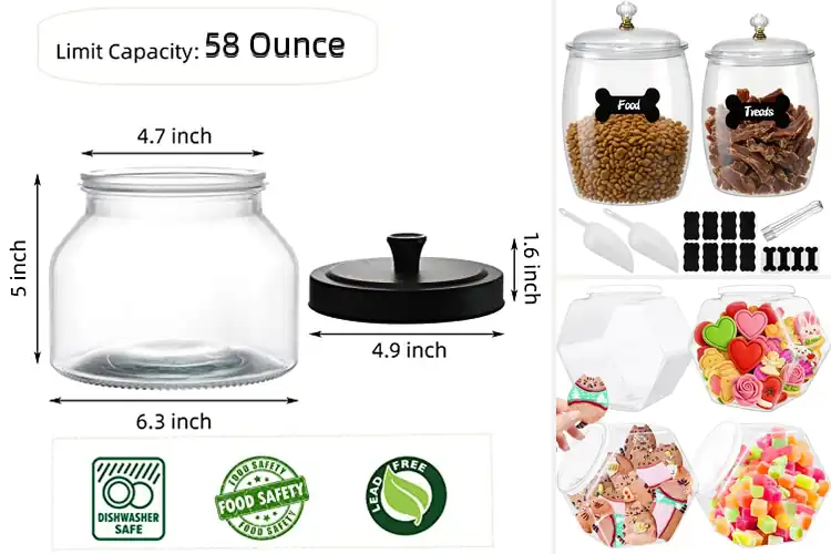 Detailed view of 10 Best Jars for Snacks and Treats