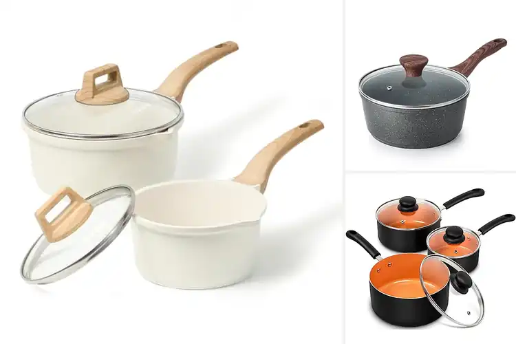 Detailed view of Best Kitchen Sauce Pots: Top 10 Picks for Effortless Cooking