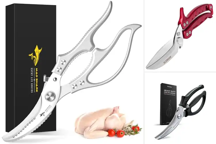 Detailed view of 10 Best Meat Shears for Effortless Cutting in Your Kitchen