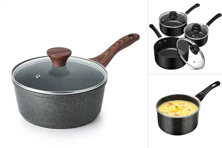 Detailed view of Best Multipurpose Sauce Pan