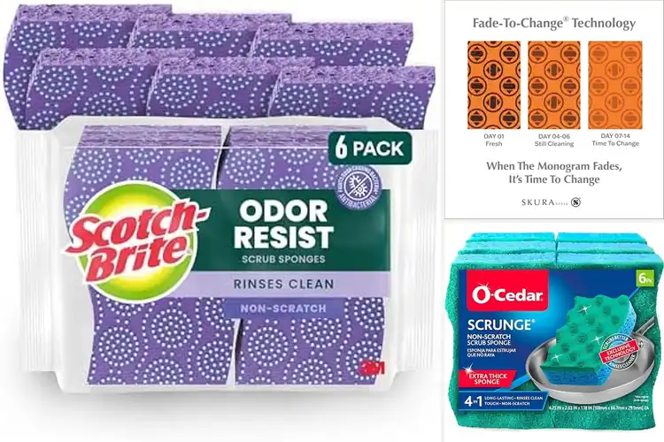 Detailed view of 10 Best Odor Resistant Sponges for a Fresher Kitchen