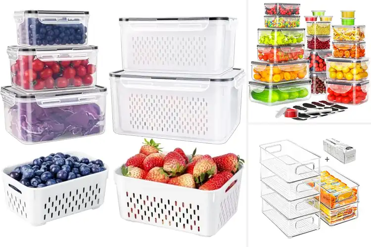 Detailed view of Best Refrigerator Storage Containers