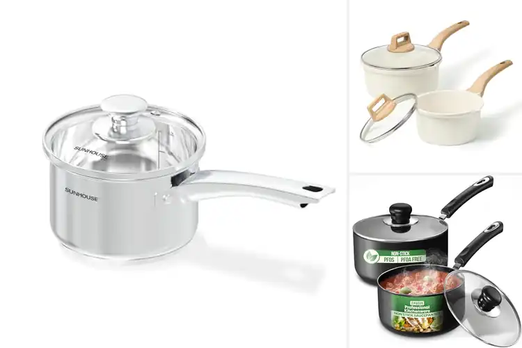 Detailed view of Best Sauce Pots For Stovetop