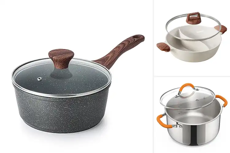 Detailed view of Best Smokeless Healthy Cooking Pot