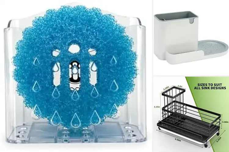 Detailed view of 10 Best Sponge Holders for Kitchen: Top Picks for Organization