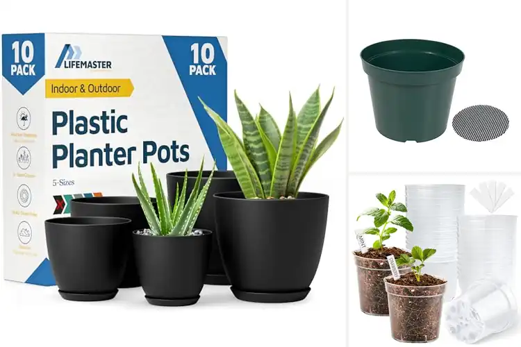 Detailed view of 10 Best Sturdy Small Pots: Ideal for Seed Starting