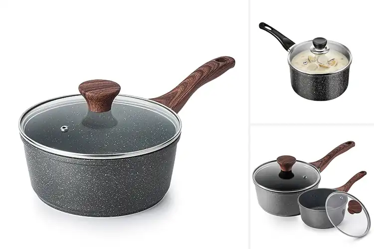Detailed view of Best Swiss Nonstick Saucepan