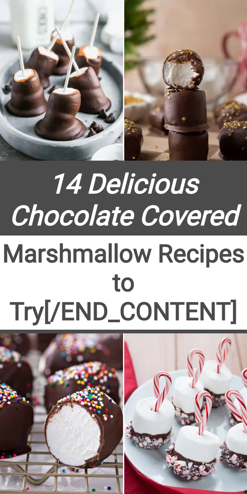 Photo of Chocolate Covered Marshmallows