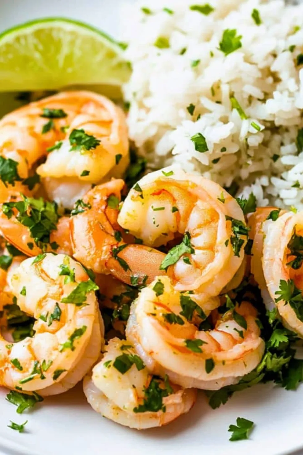 Cilantro Lime Shrimp Photo